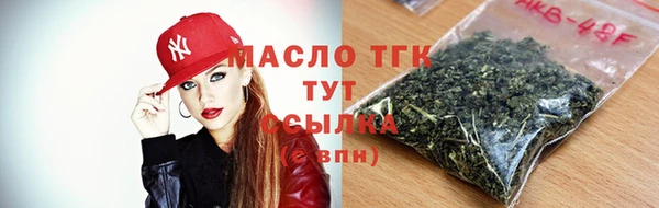 соль ск Елабуга