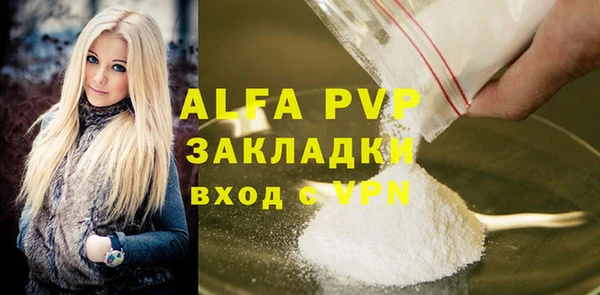 индика Елизово