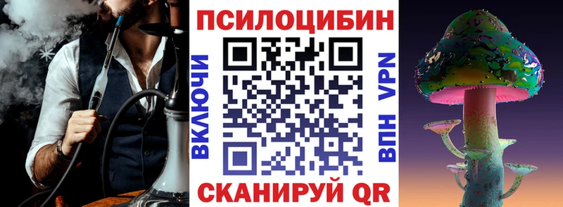 купить наркоту  Алексеевка  shop официальный сайт  Псилоцибиновые грибы Psilocybine cubensis 