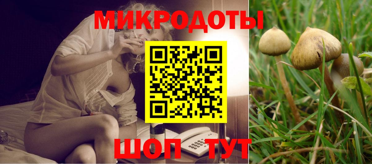 Псилоцибиновые грибы Psilocybine cubensis Алексеевка